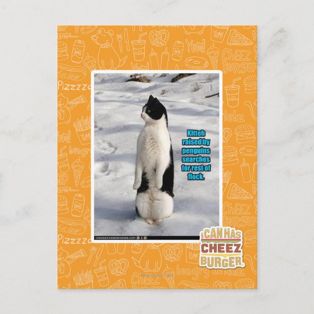 Carte Postale Élevé par des pingouins (Devant)