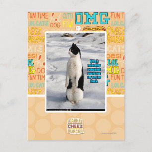 Carte Postale Élevé par des pingouins