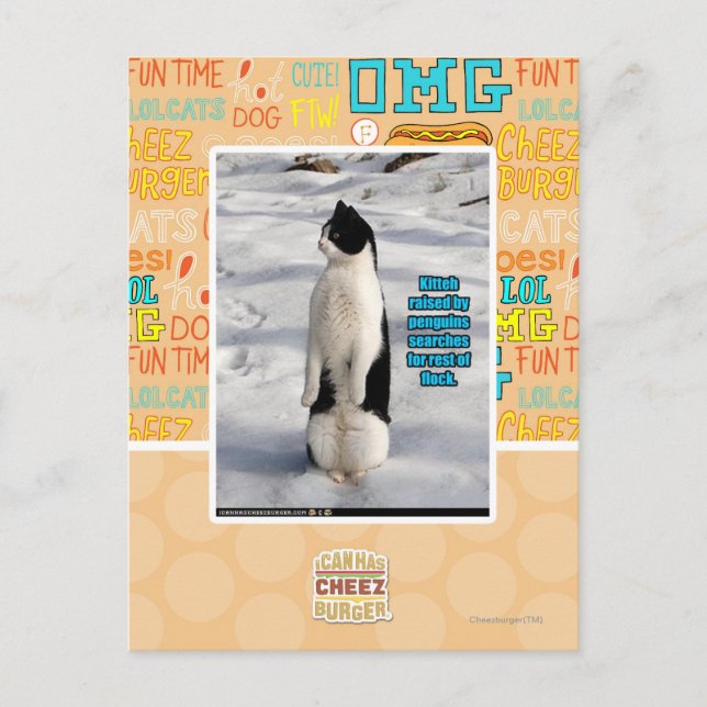 Carte Postale Élevé par des pingouins (Devant)