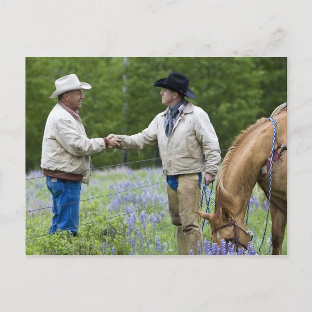 Carte Postale Éleveurs se serrant la main à travers la clôture d (Devant)