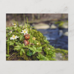 Carte Postale Elfe d'Acorn avec des fleurs de printemps