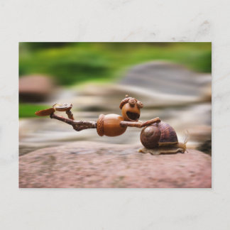 Carte Postale Elfe d'Acorn sur l'escargot