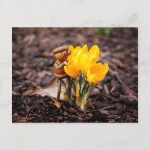 Carte Postale Elfe de maïs avec ressort de fleur de crocus jaune