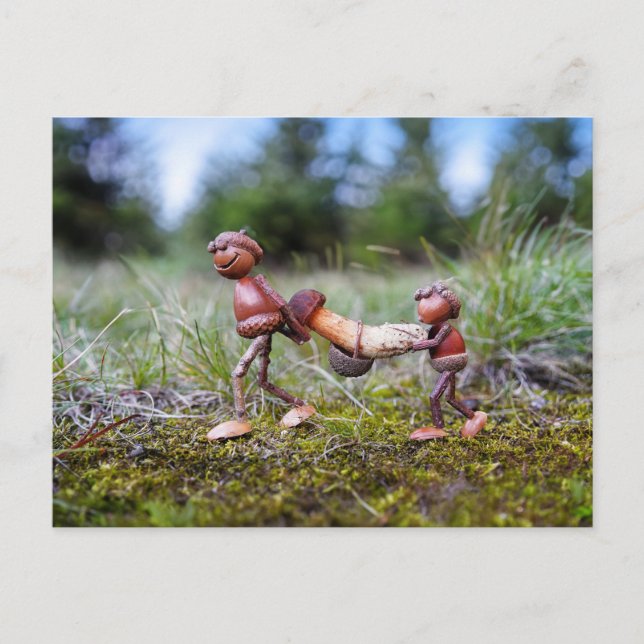 Carte Postale Elfes d'Acorn avec grand champignon dans le panier (Devant)