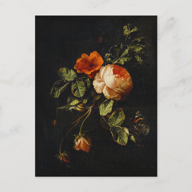 Carte Postale Elias van den Broeck, Still Life avec des Roses (Devant)