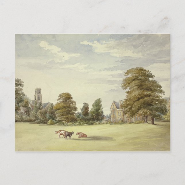 Carte Postale Elizabeth Murray - Vaches avant la Maison du Manoi (Devant)