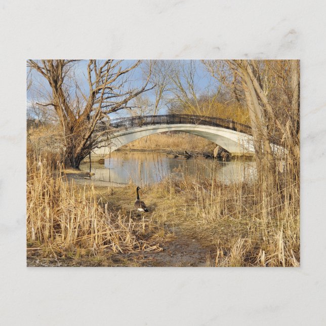 Carte Postale Elizabeth Park, Trenton, Michigan (Devant)