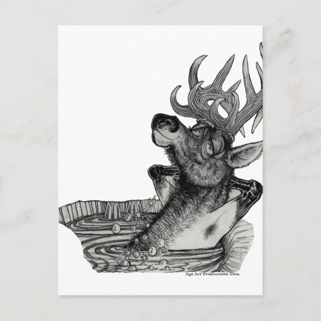 CARTE POSTALE ELK DANS LE BAIN À CHAUD (Devant)