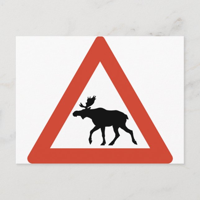 Carte Postale Elk norvégien (Devant)