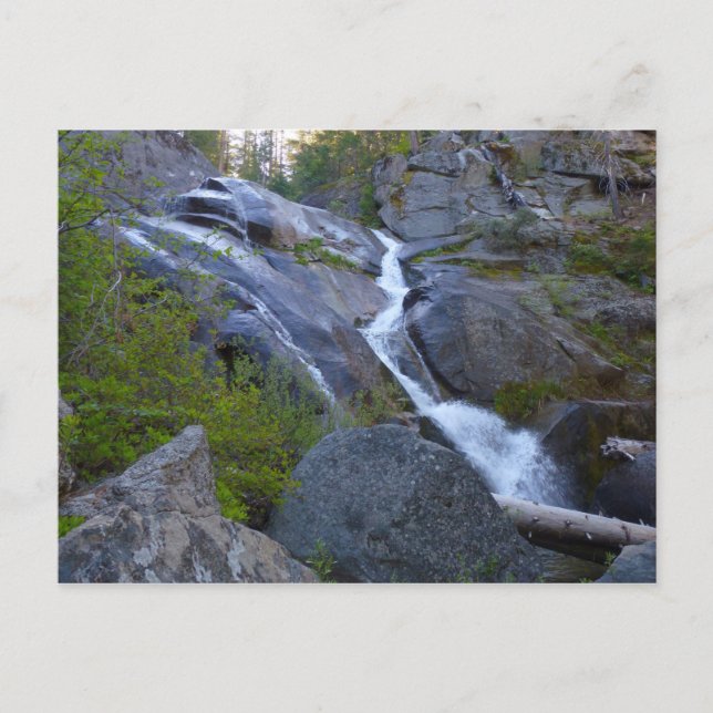 Carte Postale Ella Falls dans le parc national de Sequoia (Devant)