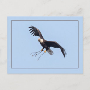 Carte Postale Elle A Un Bâton