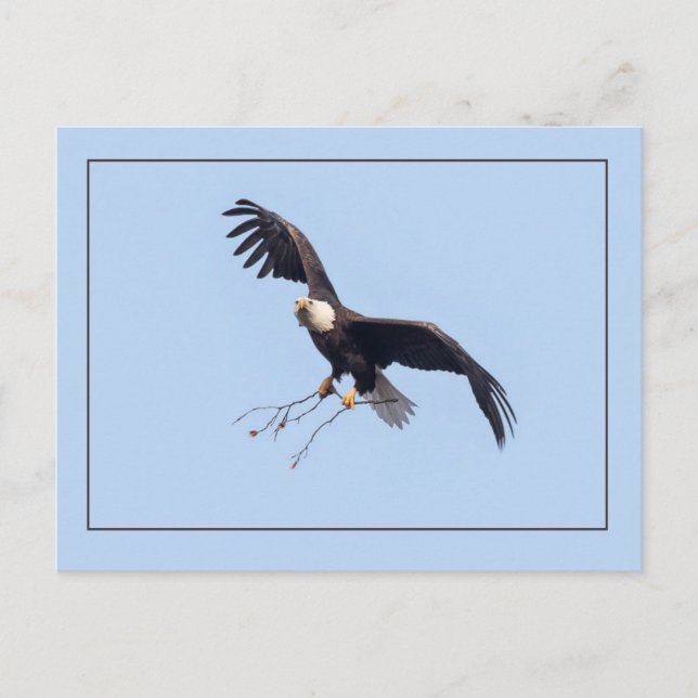 Carte Postale Elle A Un Bâton (Devant)