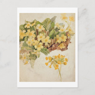 Carte Postale Ellen Terry (1847-1928) en tant que Cordelia, aprè