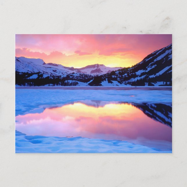 Carte Postale Ellery Lake au coucher du soleil (Devant)