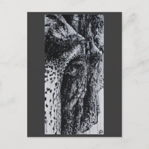 Carte Postale Ellie Elephant Asiatique Faune Jungle Animal Art