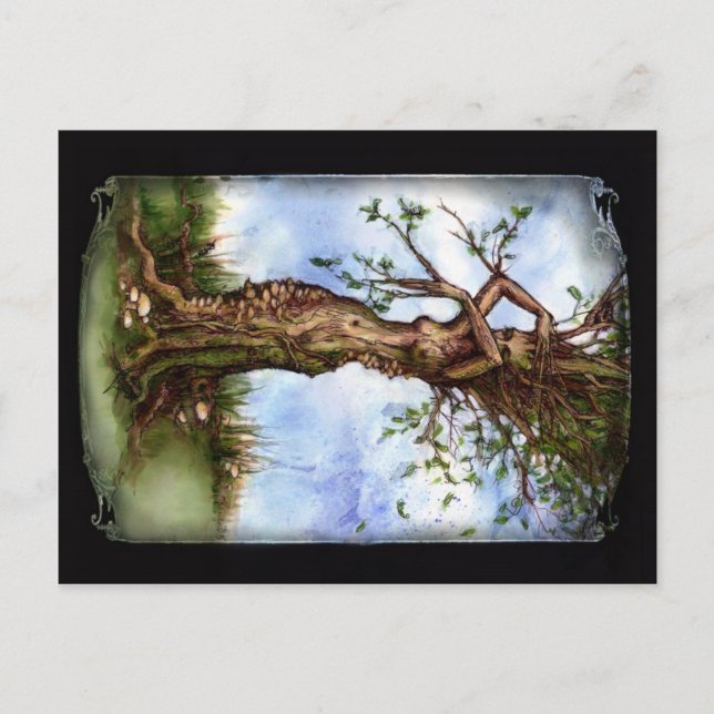 Carte Postale Elm Maid (Devant)