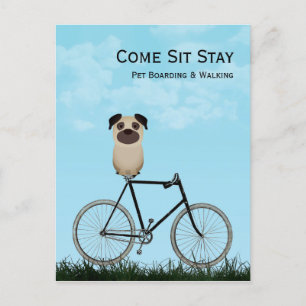 Carte Postale Embarquement de chiens, Marche, Assis, Formation E