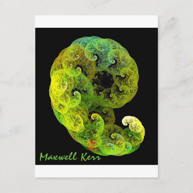 Carte Postale Embryo (Devant)