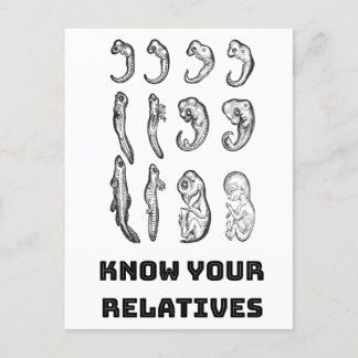 Carte Postale Embryogenèse de l'évolution