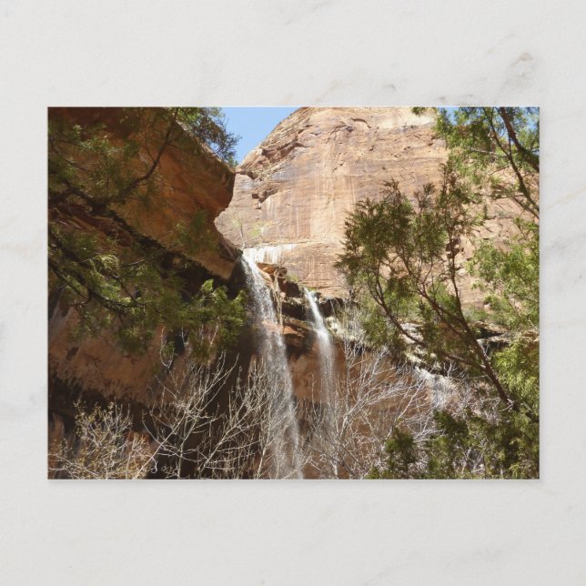Carte Postale Emerald Pool Falls I du parc national de Zion (Devant)