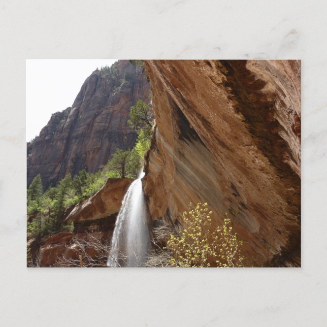 Carte Postale Emerald Pool Falls III du Parc national de Zion (Devant)