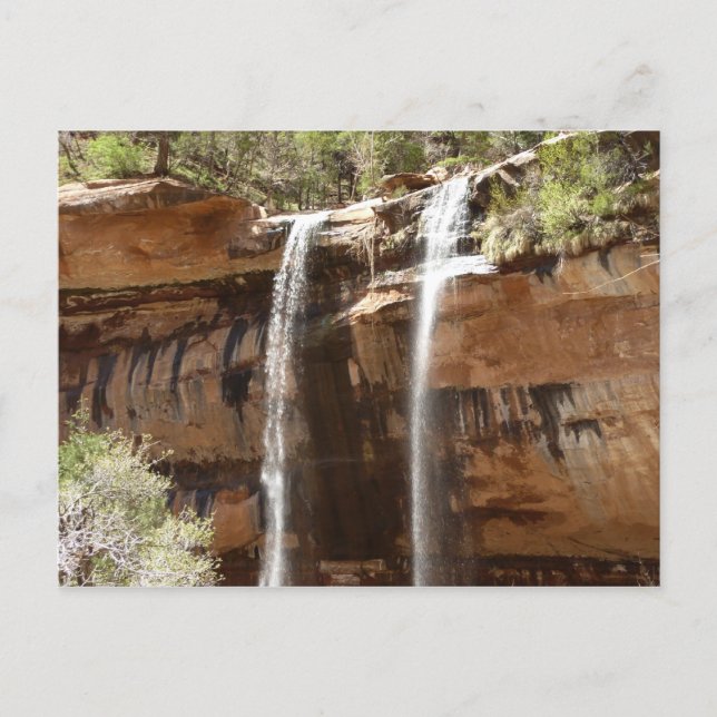 Carte Postale Emerald Pool Falls IV du parc national de Zion (Devant)