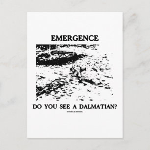 Carte Postale Émergence Voyez-Vous Un Dalmatien ?