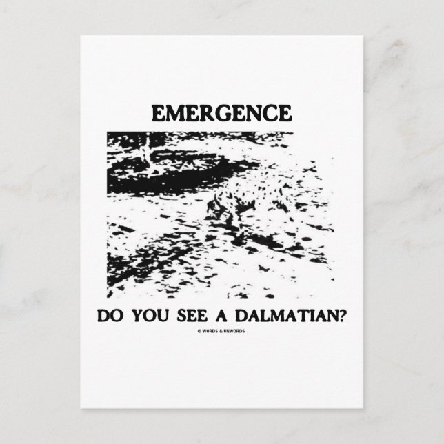 Carte Postale Émergence Voyez-Vous Un Dalmatien ? (Devant)