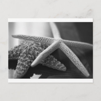 Carte Postale Éminis mono