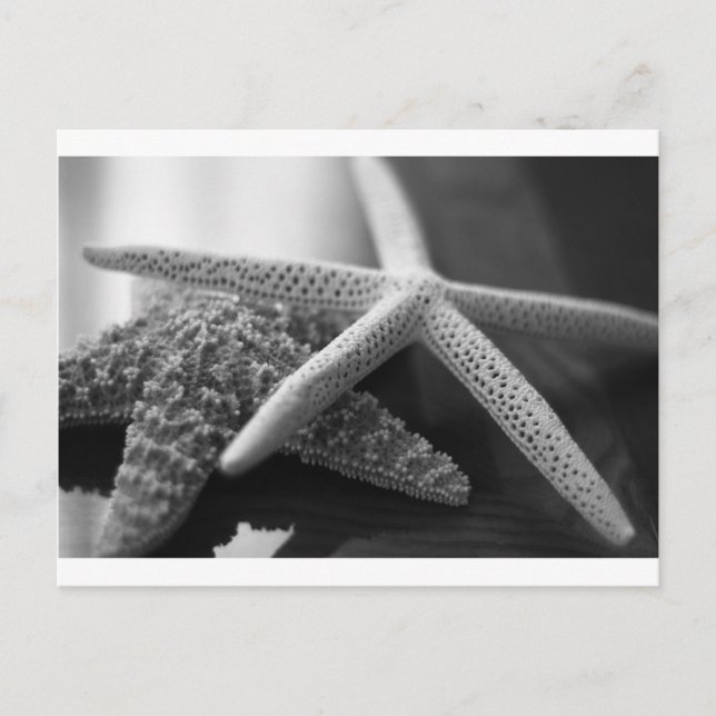 Carte Postale Éminis mono (Devant)