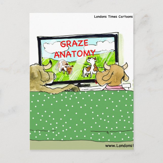 Carte Postale Émissions de télévision drôles de vache dessin ani (Devant)