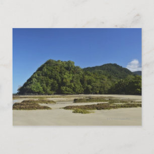 Carte Postale Emmagen Beach, Parc national de Daintree (UNESCO 2