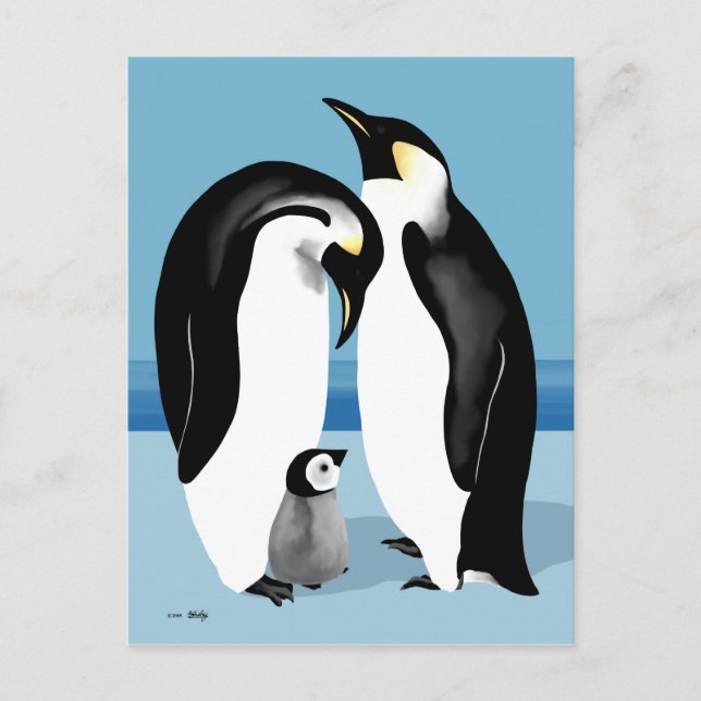 Carte Postale Empereur Penguin Avec Bébé Chick (Devant)