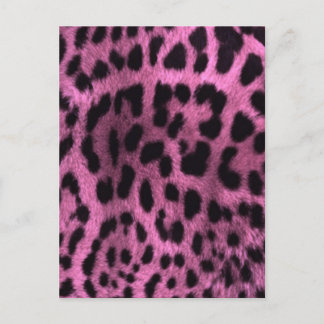 Carte Postale Empreinte de léopard animal - rose