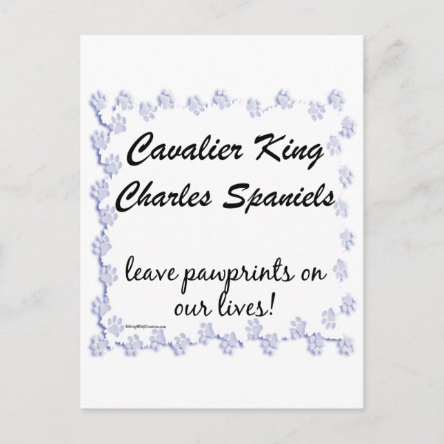 Carte Postale Empreintes Cavalier (Devant)