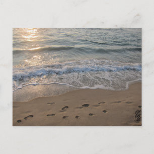 Carte Postale Empreintes dans le Sable