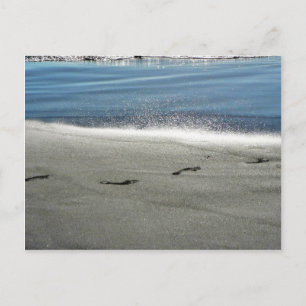 Carte Postale Empreintes Dans Le Sable