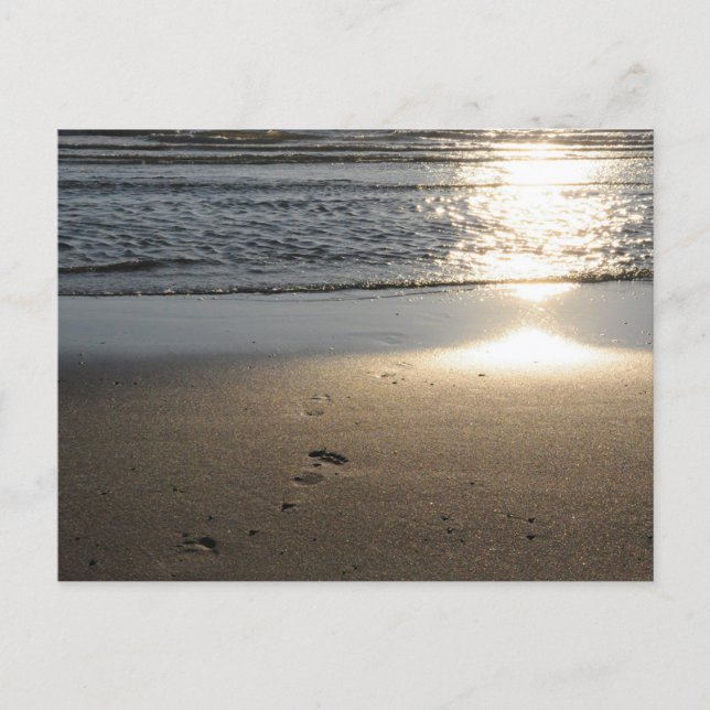 Carte Postale Empreintes de pas sur la plage de sable (Devant)