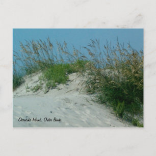 Carte Postale Empreintes et dunes de sable, Okracoke Island, NC