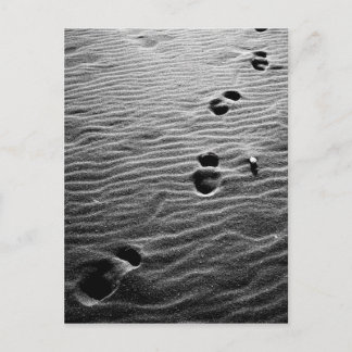 Carte Postale Empreintes sur le sable