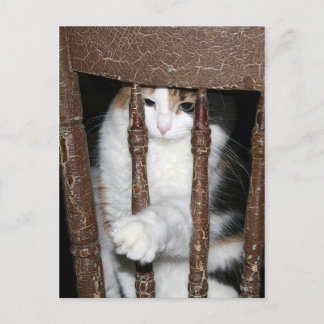 Carte Postale Emprisonné