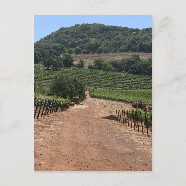 Carte Postale Empruntez le chemin le moins fréquenté (Devant)