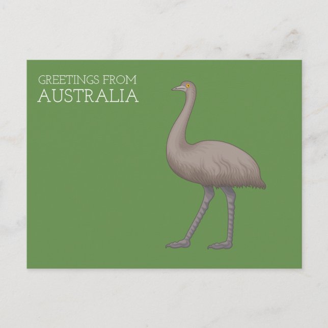 Carte postale Emu australienne (Devant)