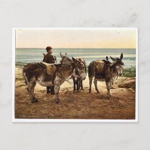 Carte Postale En attendant un travail (ânes), Angleterre rare Ph