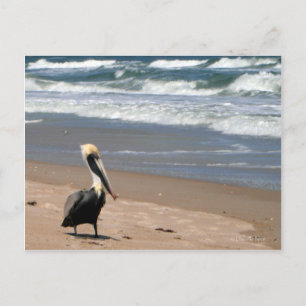 Carte postale en attente
