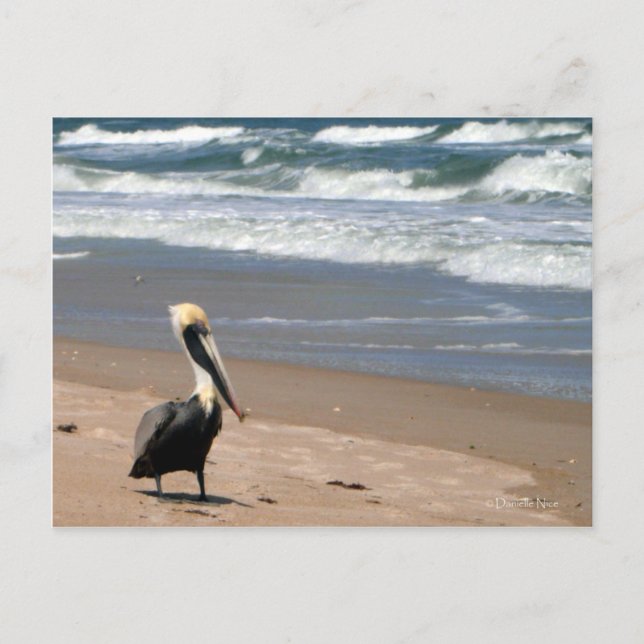 Carte postale en attente (Devant)