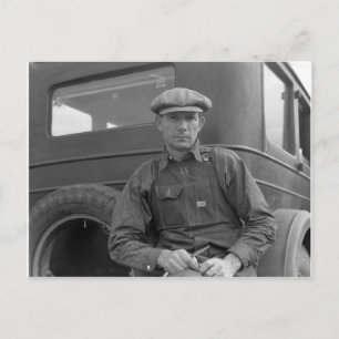 Carte Postale En attente de cueillette d'oranges