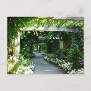 Carte Postale En bas du chemin du jardin