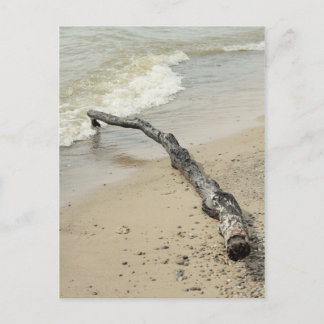 Carte postale en bois