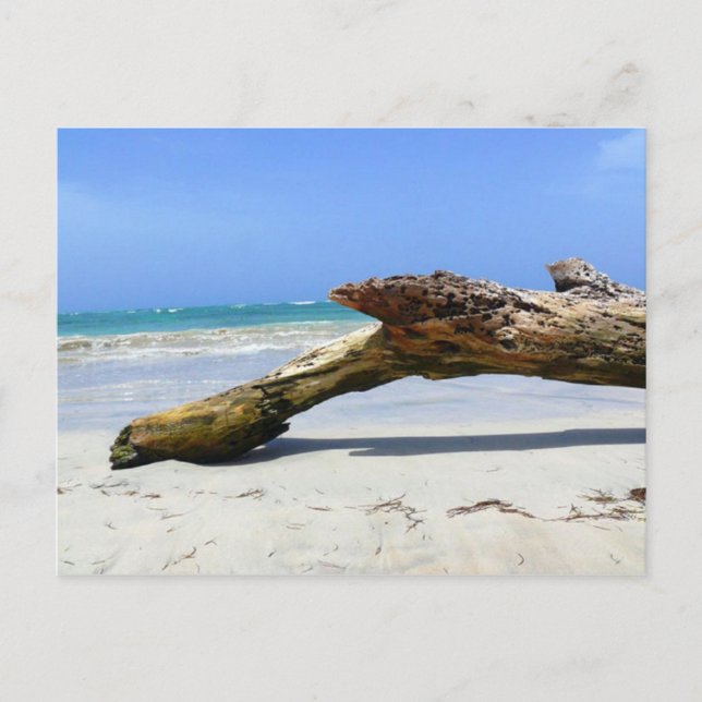 Carte postale en bois (Devant)
